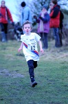Click on thumbnail for larger photo