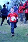 Click on thumbnail for larger photo