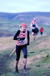 Click on thumbnail for larger photo