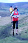 Click on thumbnail for larger photo