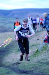 Click on thumbnail for larger photo