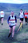 Click on thumbnail for larger photo