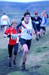 Click on thumbnail for larger photo