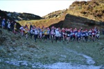 Click on thumbnail for larger photo