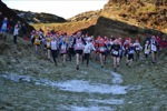 Click on thumbnail for larger photo