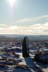 Click on thumbnail for larger photo