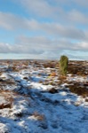 Click on thumbnail for larger photo