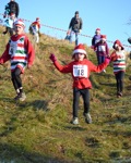 Click on thumbnail for larger photo
