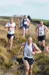 Click on thumbnail for larger photo