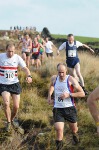 Click on thumbnail for larger photo
