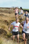 Click on thumbnail for larger photo