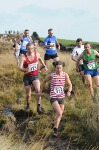 Click on thumbnail for larger photo