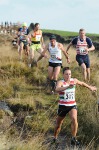 Click on thumbnail for larger photo