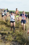 Click on thumbnail for larger photo