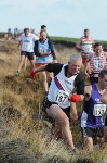 Click on thumbnail for larger photo