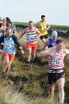 Click on thumbnail for larger photo