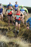 Click on thumbnail for larger photo