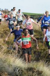 Click on thumbnail for larger photo