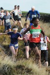 Click on thumbnail for larger photo