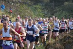 Click on thumbnail for larger photo