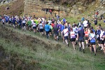 Click on thumbnail for larger photo