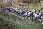Click on thumbnail for larger photo
