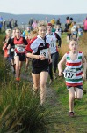 Click on thumbnail for larger photo