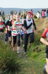 Click on thumbnail for larger photo