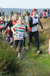 Click on thumbnail for larger photo