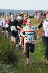 Click on thumbnail for larger photo