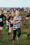 Click on thumbnail for larger photo