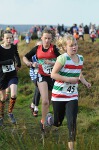 Click on thumbnail for larger photo