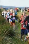 Click on thumbnail for larger photo