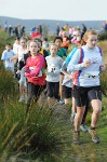 Click on thumbnail for larger photo