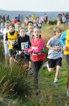 Click on thumbnail for larger photo