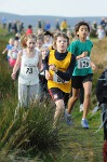 Click on thumbnail for larger photo