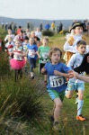 Click on thumbnail for larger photo