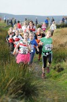 Click on thumbnail for larger photo