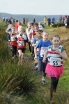 Click on thumbnail for larger photo