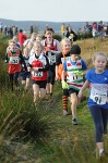 Click on thumbnail for larger photo