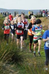 Click on thumbnail for larger photo