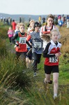 Click on thumbnail for larger photo