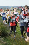 Click on thumbnail for larger photo