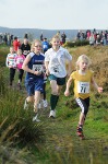 Click on thumbnail for larger photo