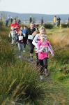 Click on thumbnail for larger photo