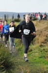 Click on thumbnail for larger photo