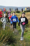 Click on thumbnail for larger photo
