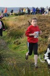 Click on thumbnail for larger photo