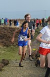 Click on thumbnail for larger photo