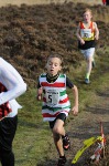 Click on thumbnail for larger photo